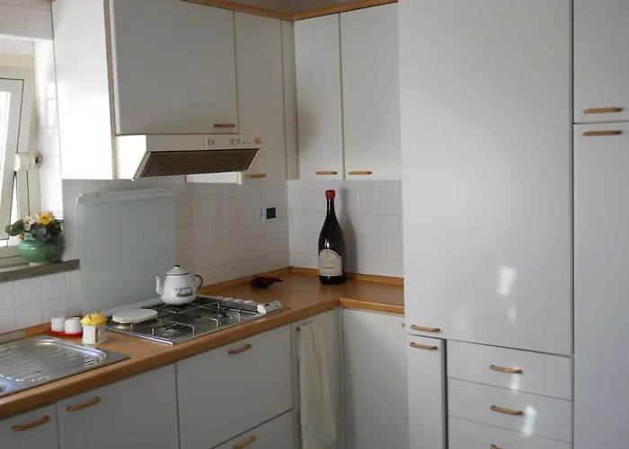 Aurora Sea And Mountains