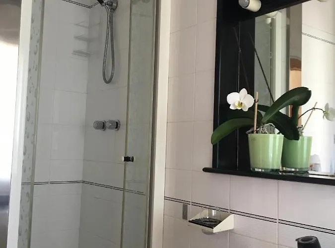 Aurora Sea And Mountains